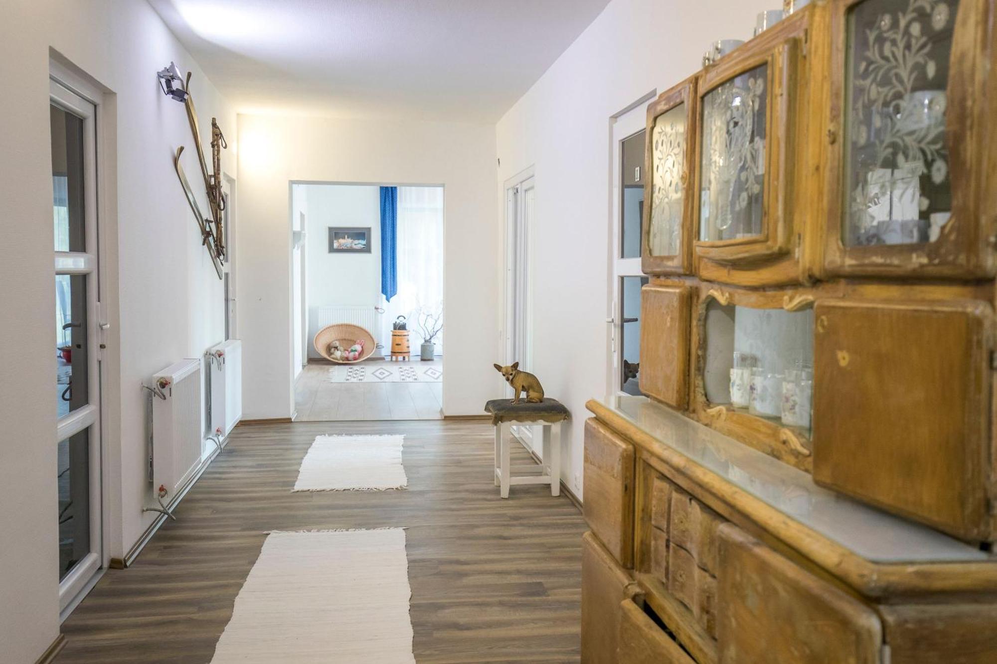 Vámosszabadi Villa Vamus Vendeg- Es Rendezvenyhaz מראה חיצוני תמונה